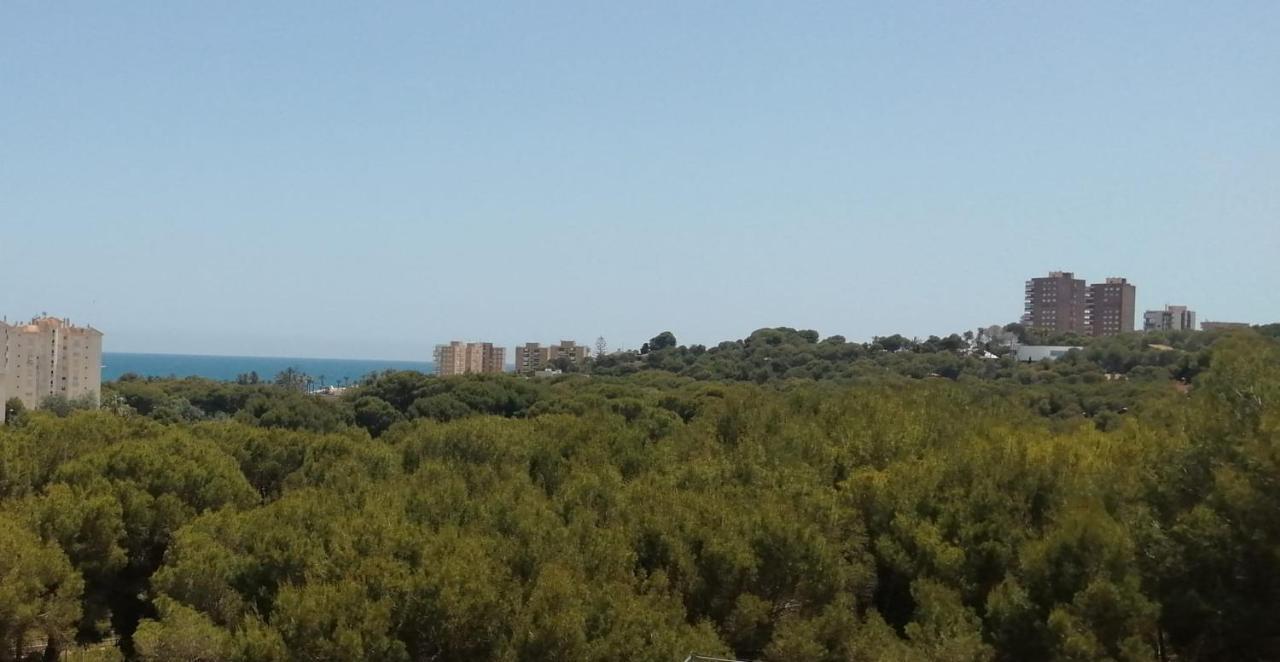 Campoamor Seaview Exteriér fotografie