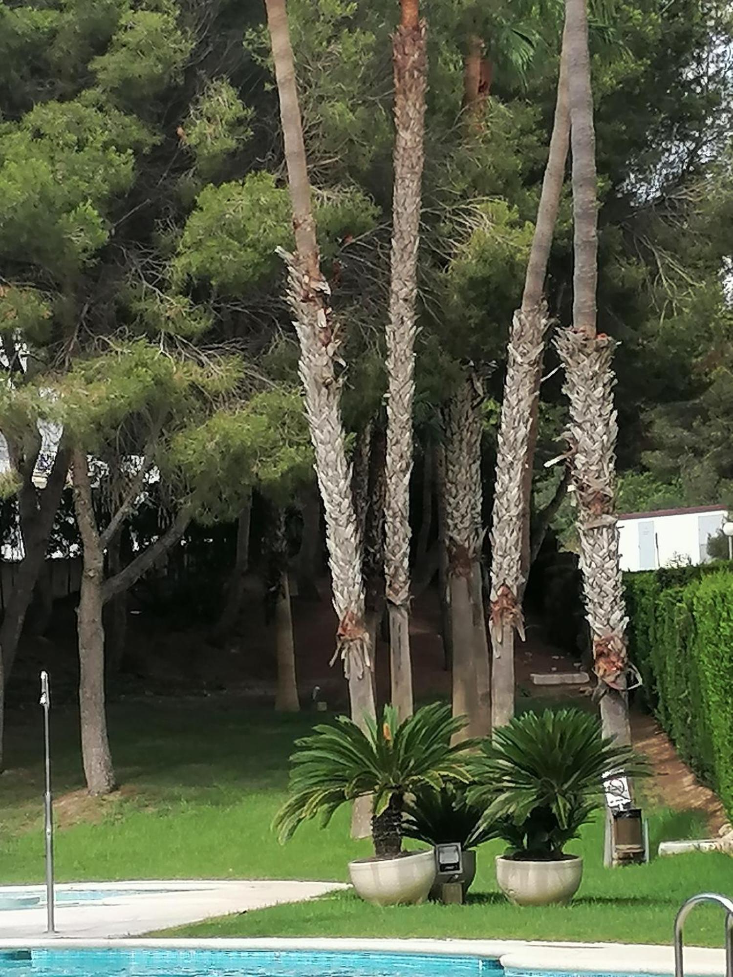 Campoamor Seaview Exteriér fotografie