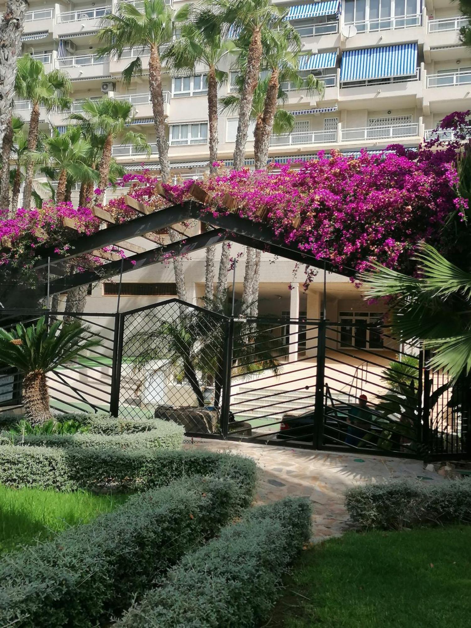 Campoamor Seaview Exteriér fotografie